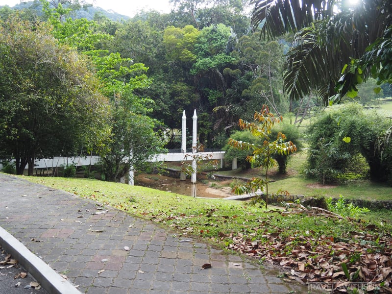 A Bridge At Penang Botanic Gardens