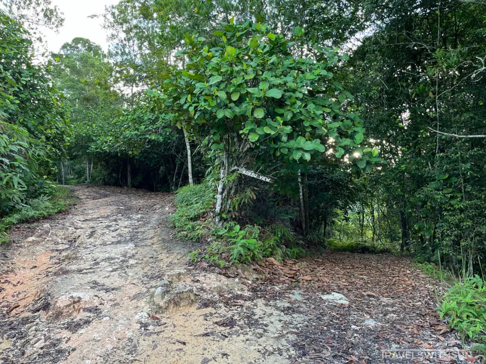 A Fork In The Trail For Bangkong Hill Trek (Start Of Korbu View Trail)