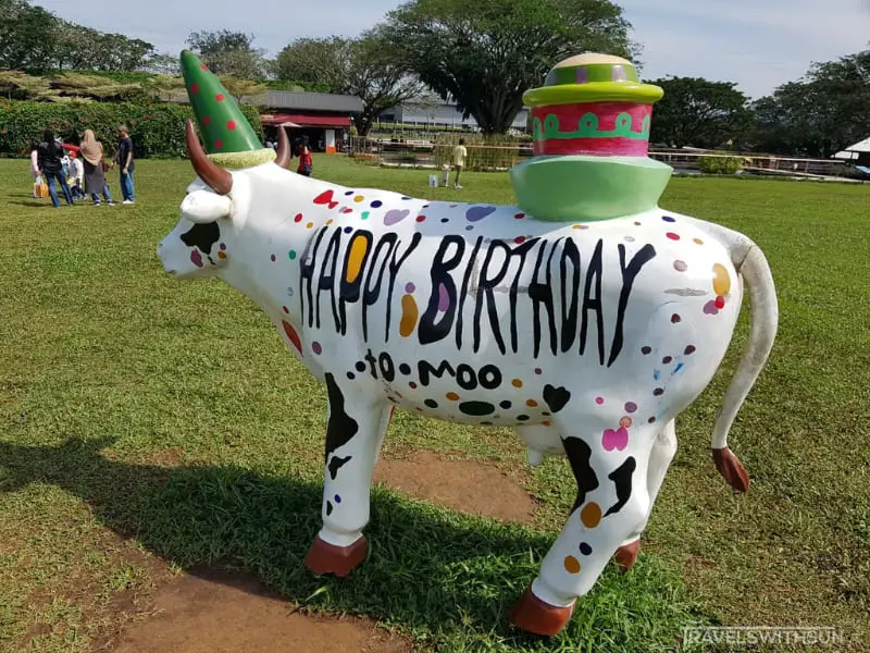 Another Colorful Cow Displays At Farm Fresh UPM