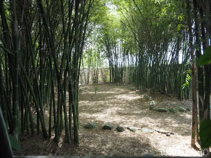 Bamboo Section At The TT5 Maze Park At Tanjung Tualang Tin Dredge No.5