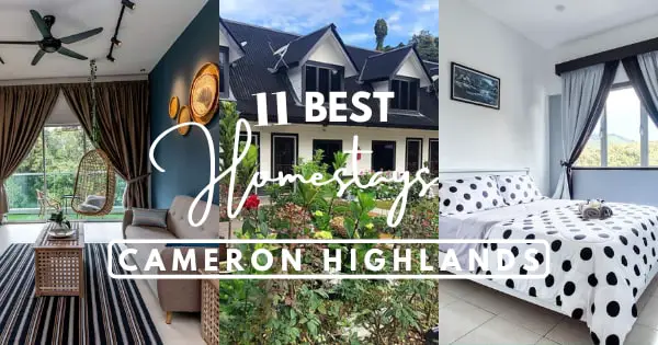 11 Best Homestays In Cameron Highlands 2023 – Options <RM300