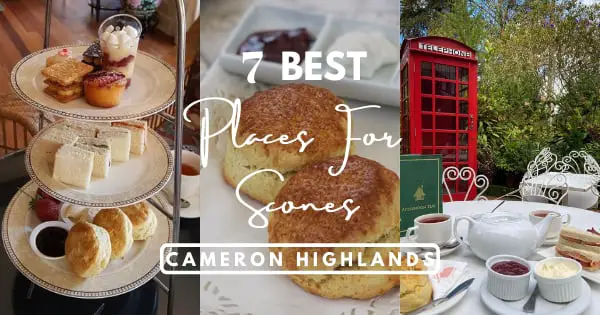 7 Delightful Places for Scones in Cameron Highlands – Best With Tea!