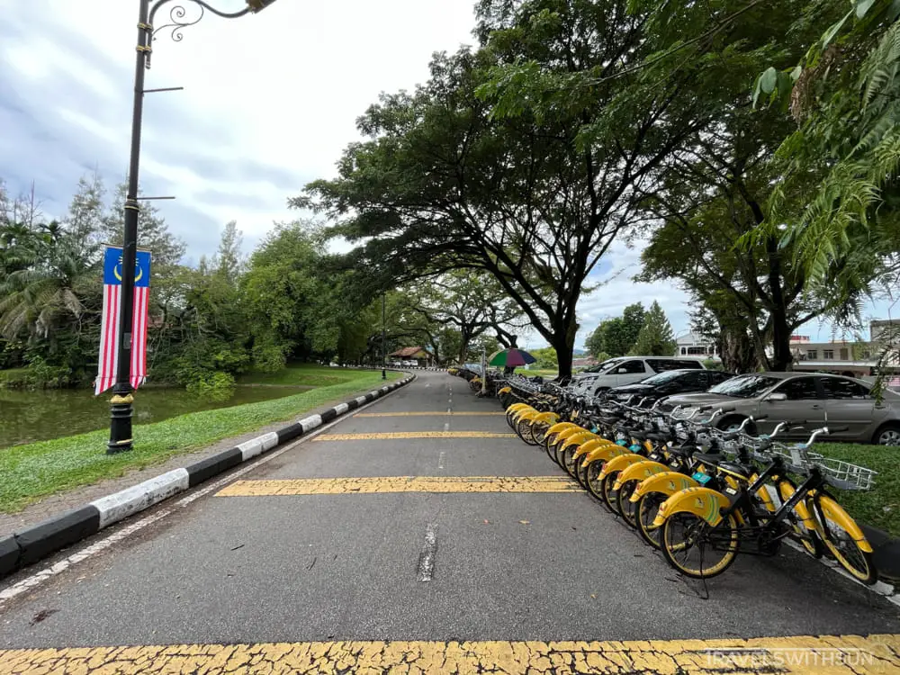 Bicycles For Rent Beside The Taiping Lake Gardens