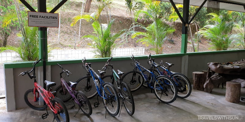 Bicycles You Can Use At The Little Habitat Camping Site In Bentong