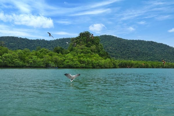 古邦巴达红树林保护区附近的乘船游览景色