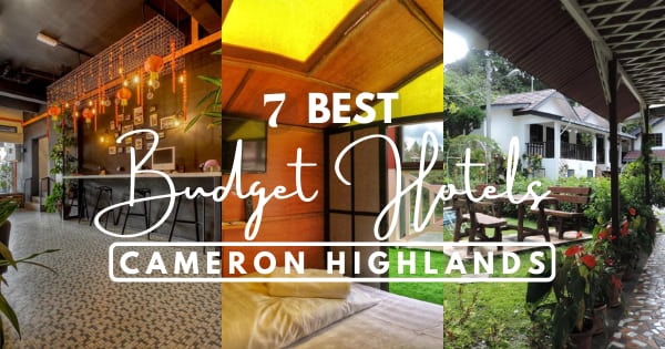 Top 7 Budget Hotels In Cameron Highlands – For A Cheap Stays! (2022)