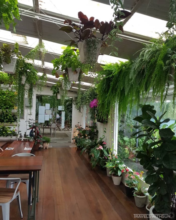 Cafe Ambiance At World of Phalaenopsis (Ulu Yam Orchid Farm)