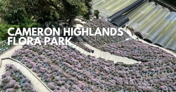 Cameron Highlands Flora Park