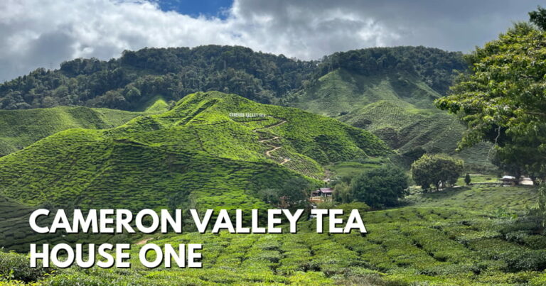 Cameron Valley Tea House 1 – Popular Tea Plantation To Visit