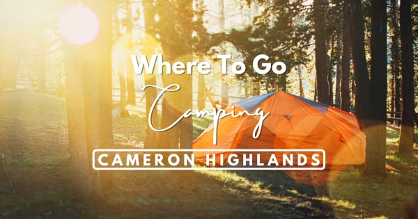 Camping In Cameron Highlands