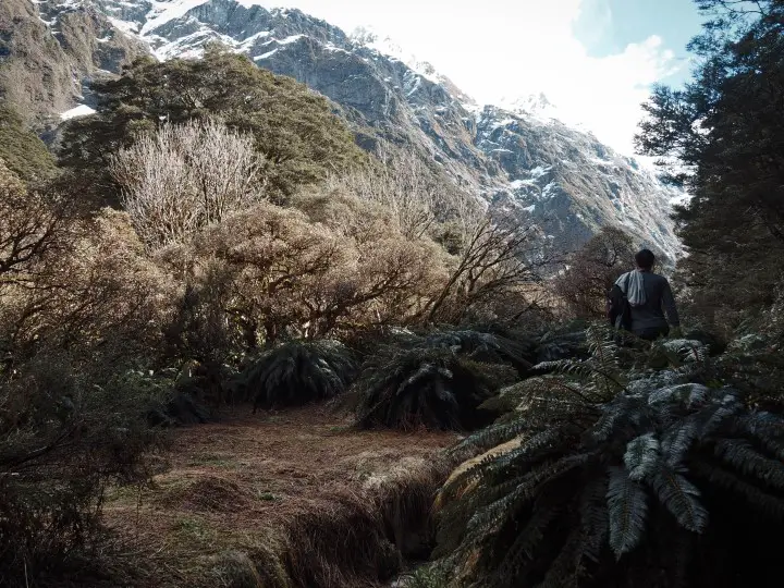 Close to Lake Marian in Fiordland - more on what to expect on this hike on www.travelswithsun.com