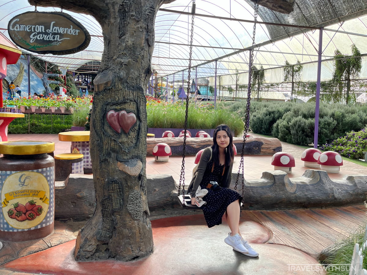 Cute Seats At Lavender Farm In Cameron Highlands