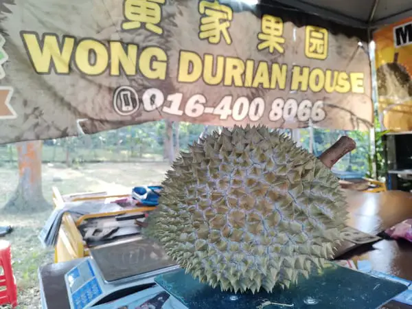 Durian Being Weighed At Wong Duran House At Balik Pulau, Penang