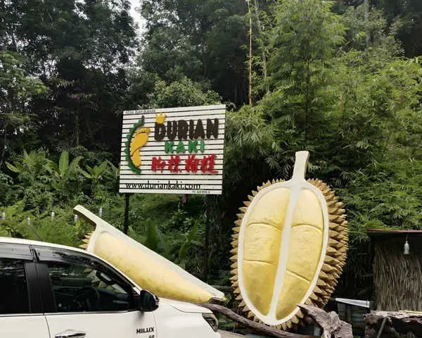 Durian Kaki Signage In Penang