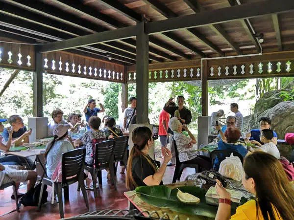 Durian Tour And Tasting Session At Green Acres Orchard & Ecolodge