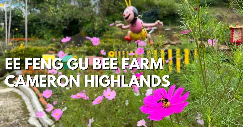 Ee Feng Gu Bee Farm, Cameron Highlands - travelswithsun