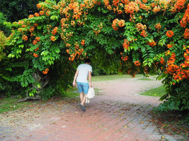 Entering The Formal Gardens At Penang Botanic Gardens