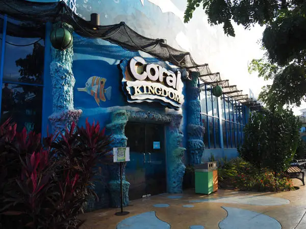 Entrance To Coral Kingdom At Movie Animation Park Studios