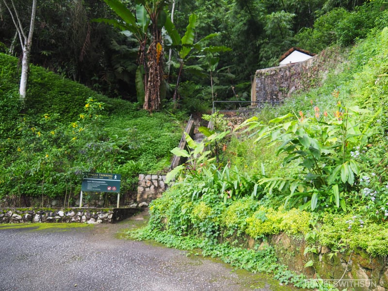Entrance To The Jungle Trail At The Lakehouse Cameron Highlands