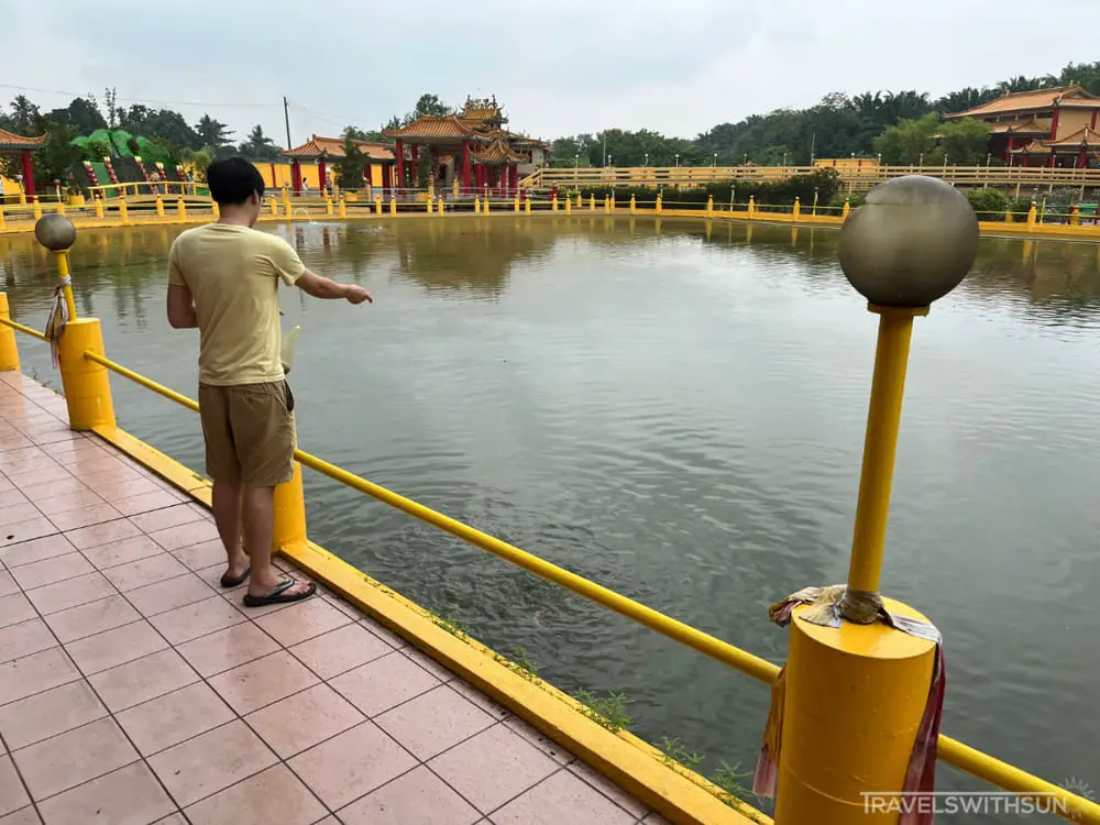 Feeding Fish At Seen Hock Yeen Confucius Temple