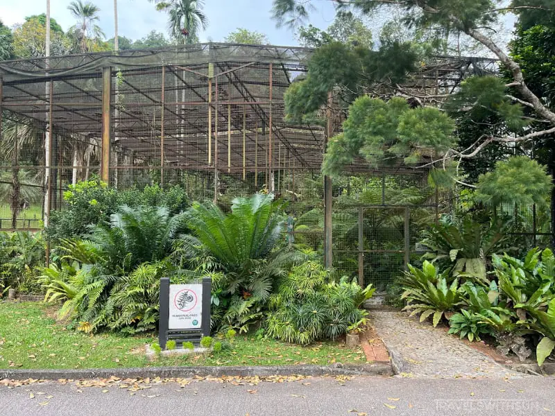 Fern House At Penang Botanic Gardens