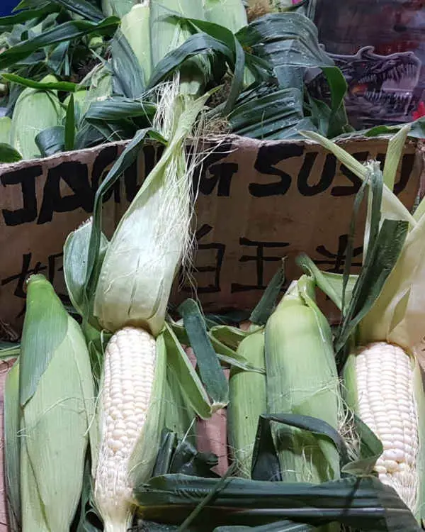 Fresh corn for sale at Brinchang Night Market