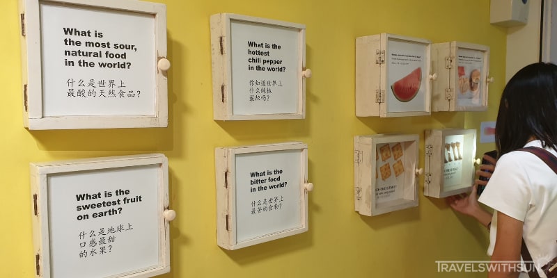 Fun Fact Boxes At Wonder Food Museum