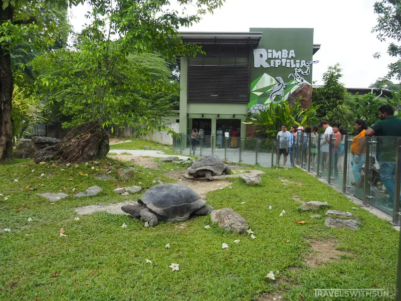 Galapagos Giant Tortoise Enclosure At Zoo Negara Malaysia
