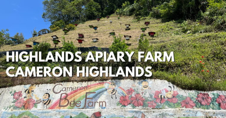 Highlands Apiary Farm, Bee Farm, Strawberry Farm, Cameron Highlands - travelswithsun