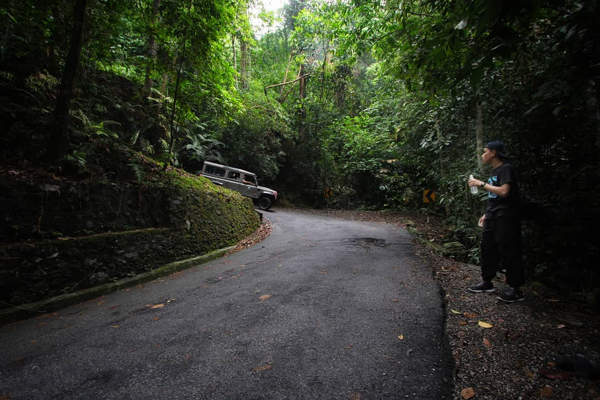 Jeep making a turn at Bukit Larut (Maxwell hill)