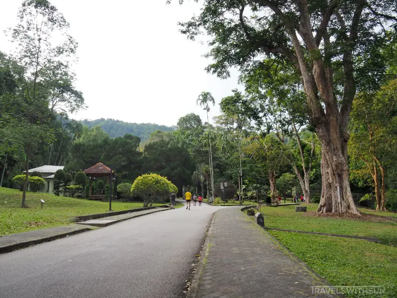 Joggers At Penang Botanic Gardens