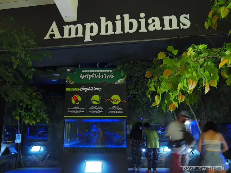 Jungle Night Time Exhibit At Zoo Negara Malaysia
