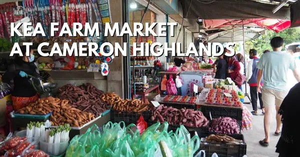 Kea Farm Market At Cameron Highlands: All Covered Including Food & What To Buy