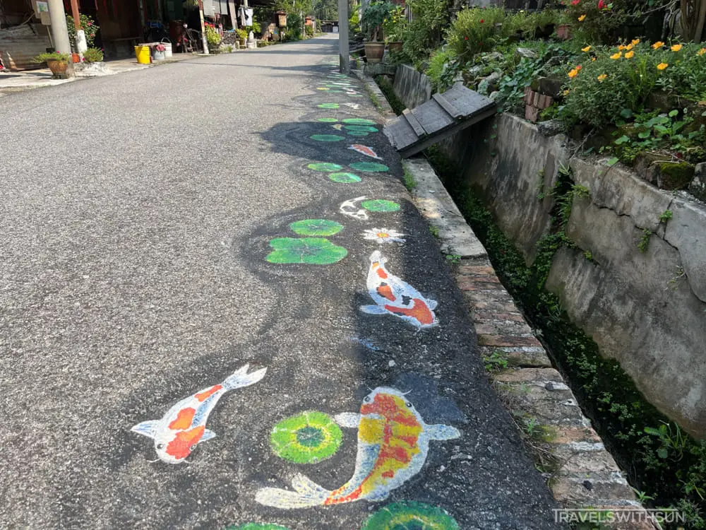 Koi On The Road Of Papan Middle Alley At Papan Village In Pusing, Perak