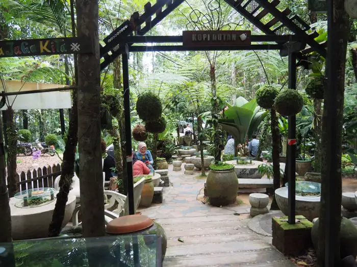Kopi Hutan - Onsite Cafe At Monkey Cup Garden