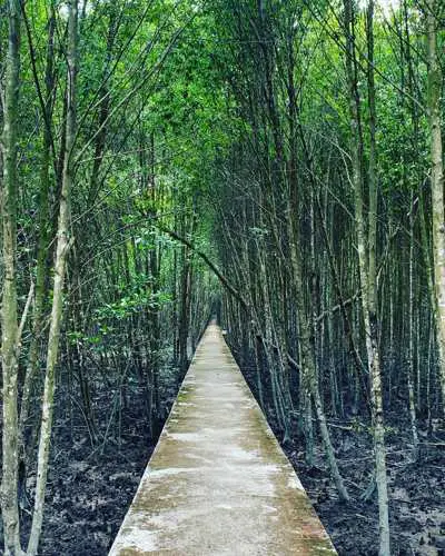 Kuala Selangor Nature Park - photo credits to mikiinnature (Instagram)