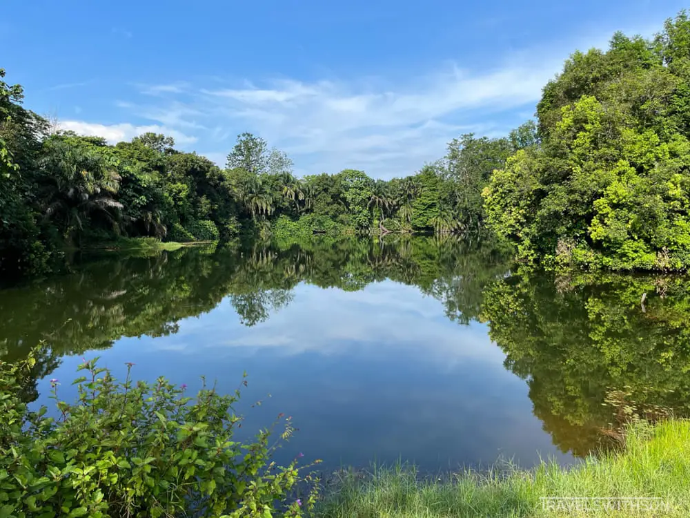 Lake View At Perak Botanic Gardens In Taiping