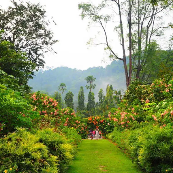 Landscaping At Penang Botanic Gardens