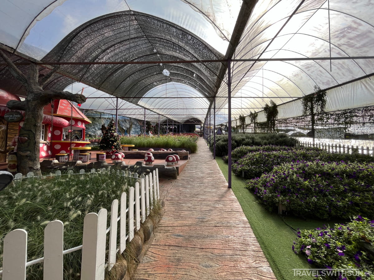 Landscaping At The Upper Floor Of Lavender Farm In Cameron Highlands