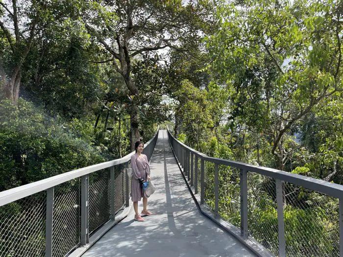 Langur Way Canopy Bridge At The Habitat On Penang Hill