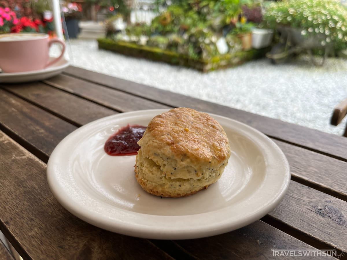 Lemon Poppy Scone With Jam And Cream At Cado Cafe In Brinchang