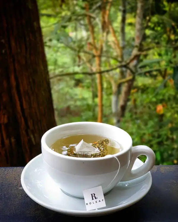 Lemongrass Tea At The Habitat Penang Hill