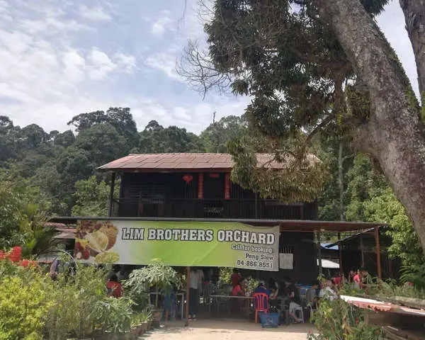 Lim Brothers Orchard - Where To Find Durian In Penang