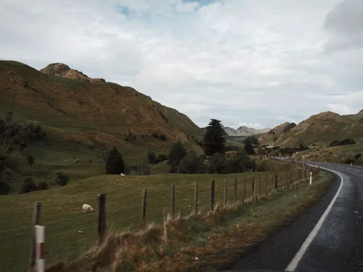 Long drives around New Zealand - Make sure you have insurance for your camper car or campervan before you start your journey around New Zealand. More on how to select campervan insurance on www.travelswithsun.com