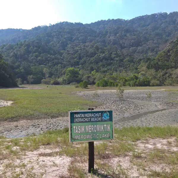 Meromictic Lake Looking A Bit Dry At Penang National Park