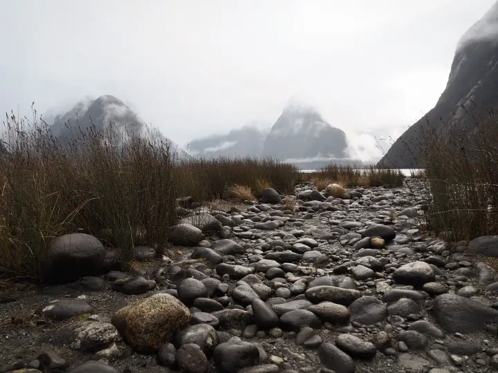 Milford sound bay- One of the highlights in our 1 month self-drive trip around New Zealand during winter. More on www.travelswithsun.com