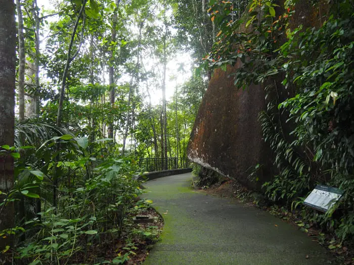 Nature Trail At The Habitat On Penang Hill
