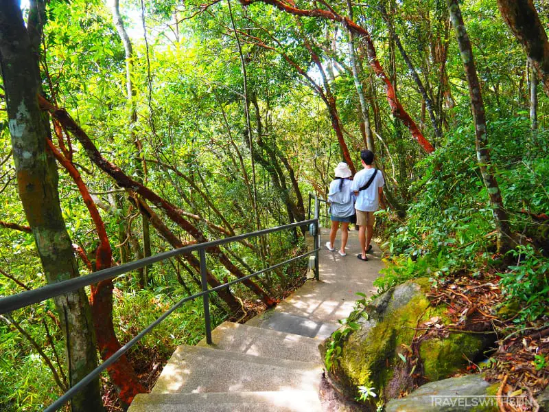 Nature Trail To Langkawi Sky Bridge