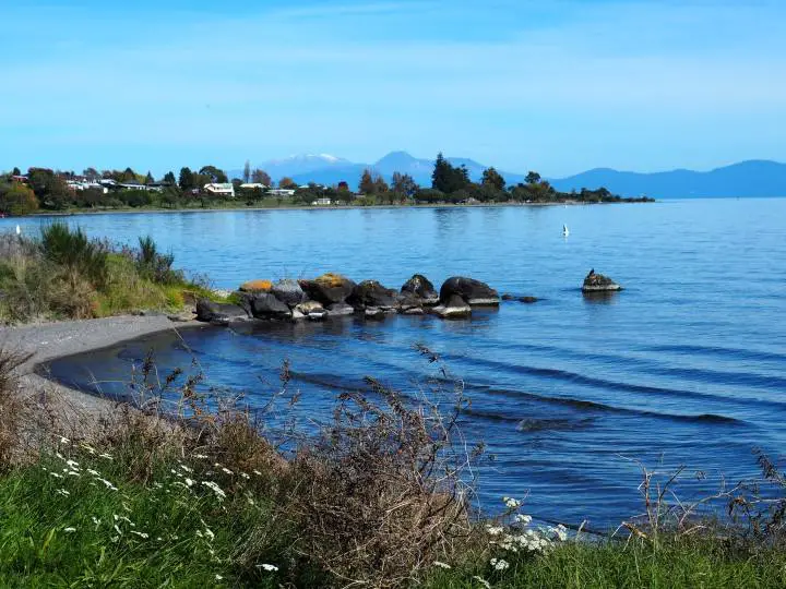 On a clear day, you can see M Ruapehu from the shores of Lake Taupo - More on this must-do New Zealand day hike on www.travelswithsun.com
