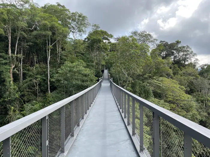 One Of The Canopy Bridges At The Habitat
